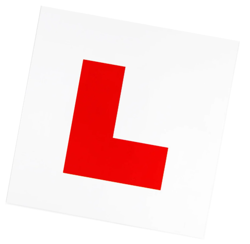 Driving Instructor Training